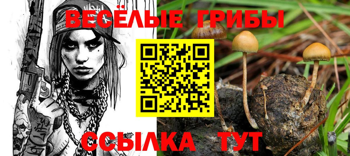 Псилоцибиновые грибы прущие грибы Урай